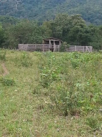 Fazenda com 806 hectares na Agrovila das Palmeiras a 130 km de Cuiabá - Foto 10