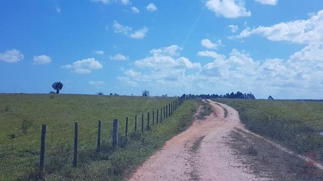 Maravilhosa Fazenda em Barrolândia, Belmonte - BA com 809 Hectares... - Foto 16