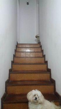 Casa à venda com 4 dormitórios em Castelanea, Petrópolis cod:116 - Foto 7