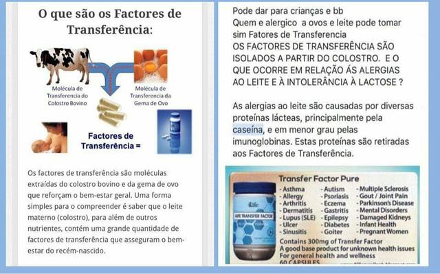 factores de transferencia y diabetes