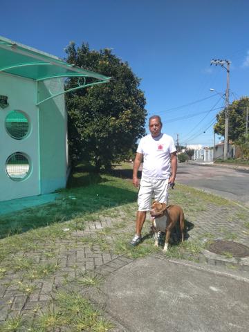 Passeador e Adestrador de cães - Foto 5