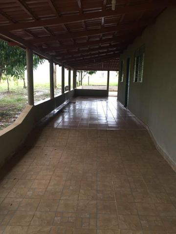 Fazenda 15 alqueires município goianira - Foto 6
