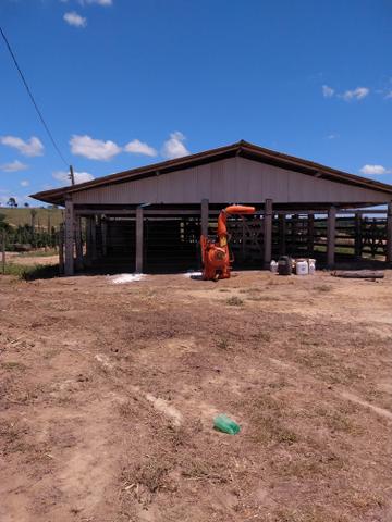 Propriedade rural Nova Venécia - Foto 6