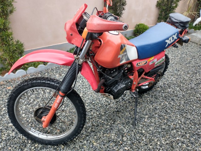 XLX 250