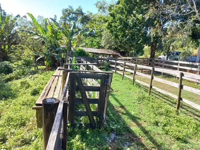 Venda-se está propriedade de 9 Alqueires no Município/ES. - Foto 3
