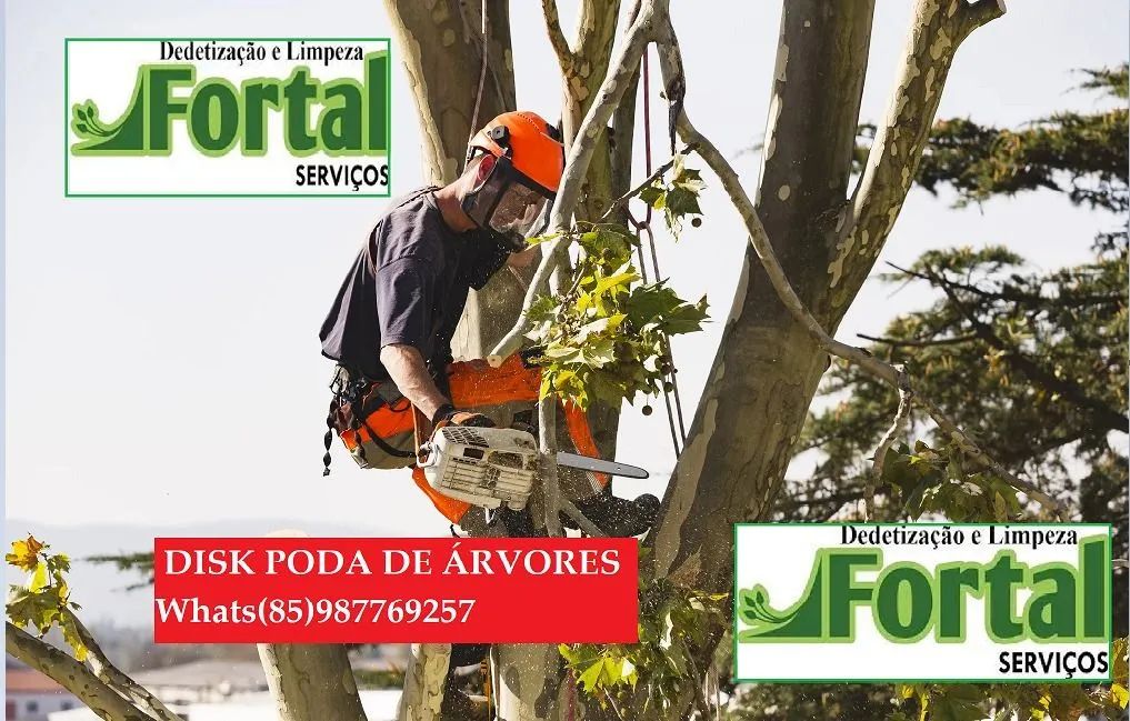DISK PODA E CORTE DE ÁRVORES - EMPRESA CERTIFICADA, FORTAL SERVIÇOS - Foto 2