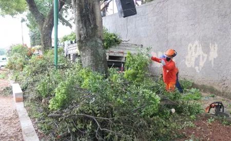 DISK PODA E CORTE DE ÁRVORES - EMPRESA CERTIFICADA, FORTAL SERVIÇOS - Foto 4
