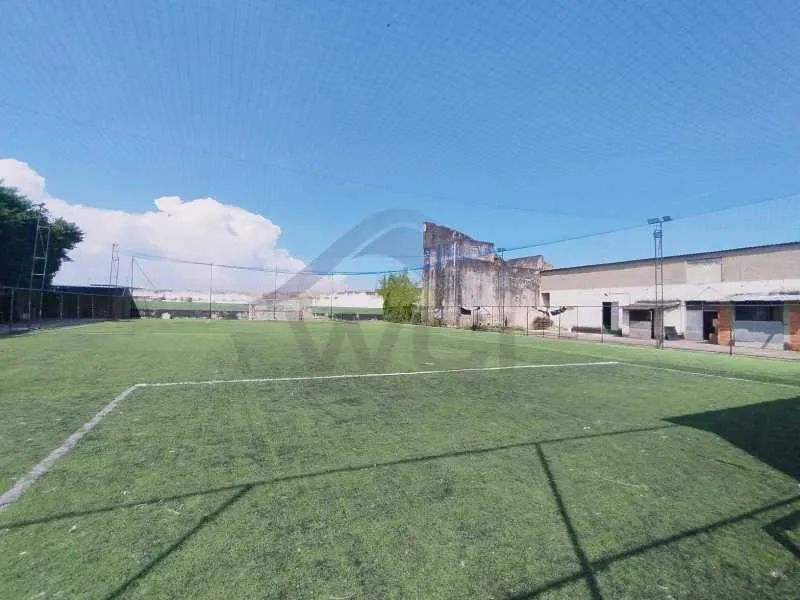 Terreno Plano.