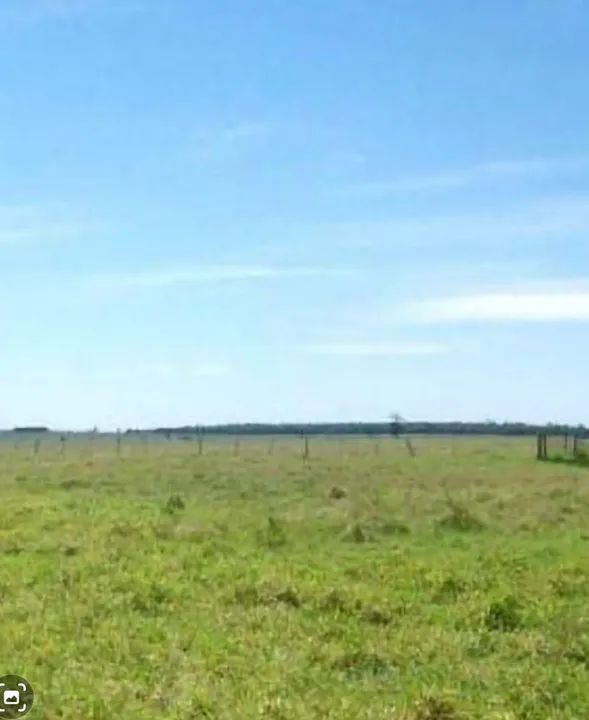 Fazenda 200 alqueiro de oportunidade - Foto 2