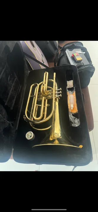 Vendo ou troco Trombone (Trombonito) laqueado , instrumento lindo com case rígida