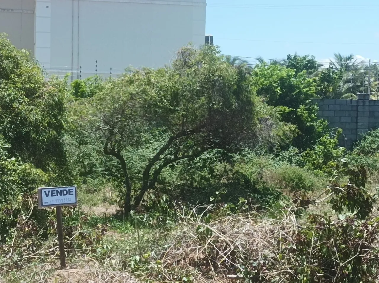 Venda de terreno