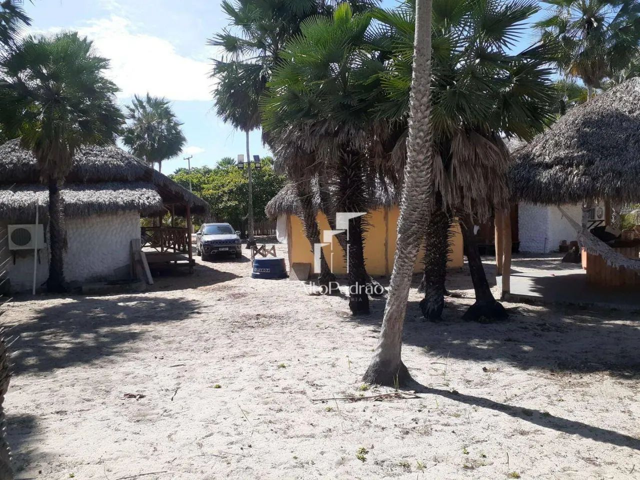 Sítio/Chácara à Venda - Cajueiro da Praia/PI - Foto 4