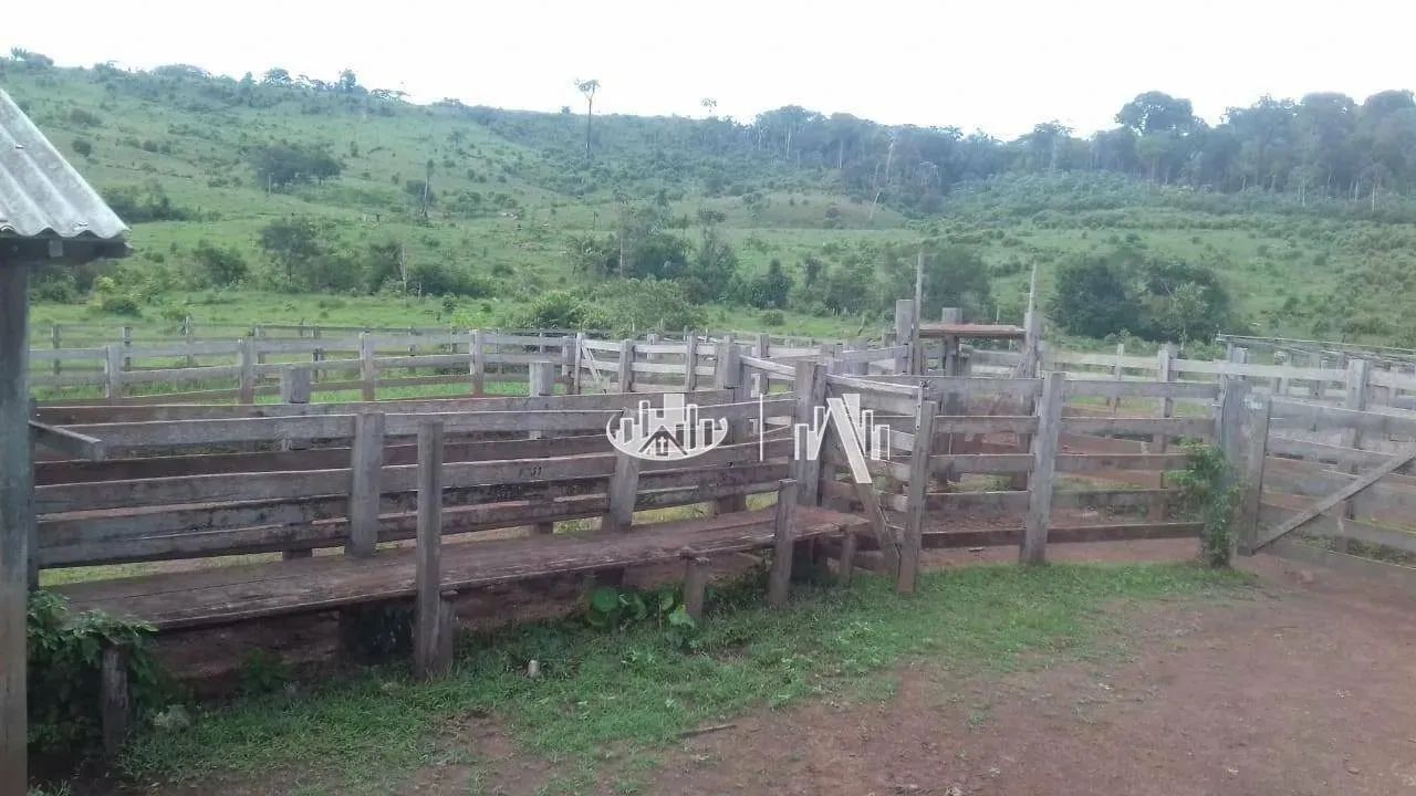 Fazenda à venda, 14520000 m² por R$ 18.200.000,00 - São Francisco - Óbidos/PA - Foto 11