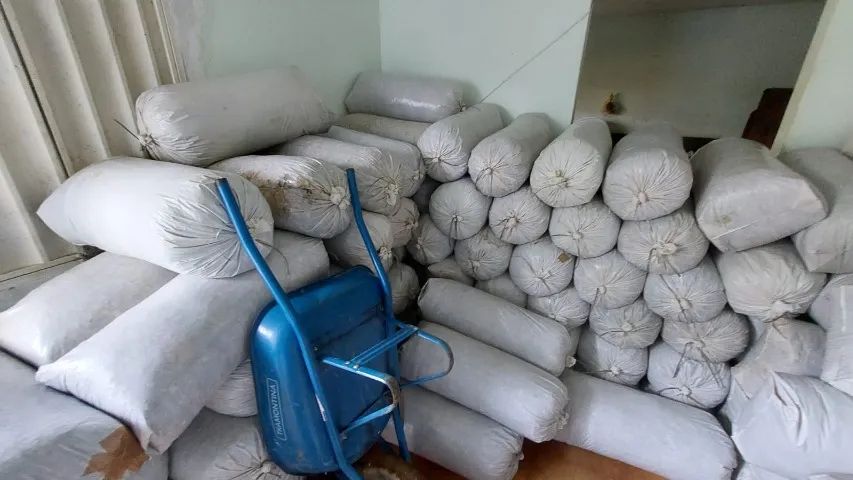 silagem - Foto 2