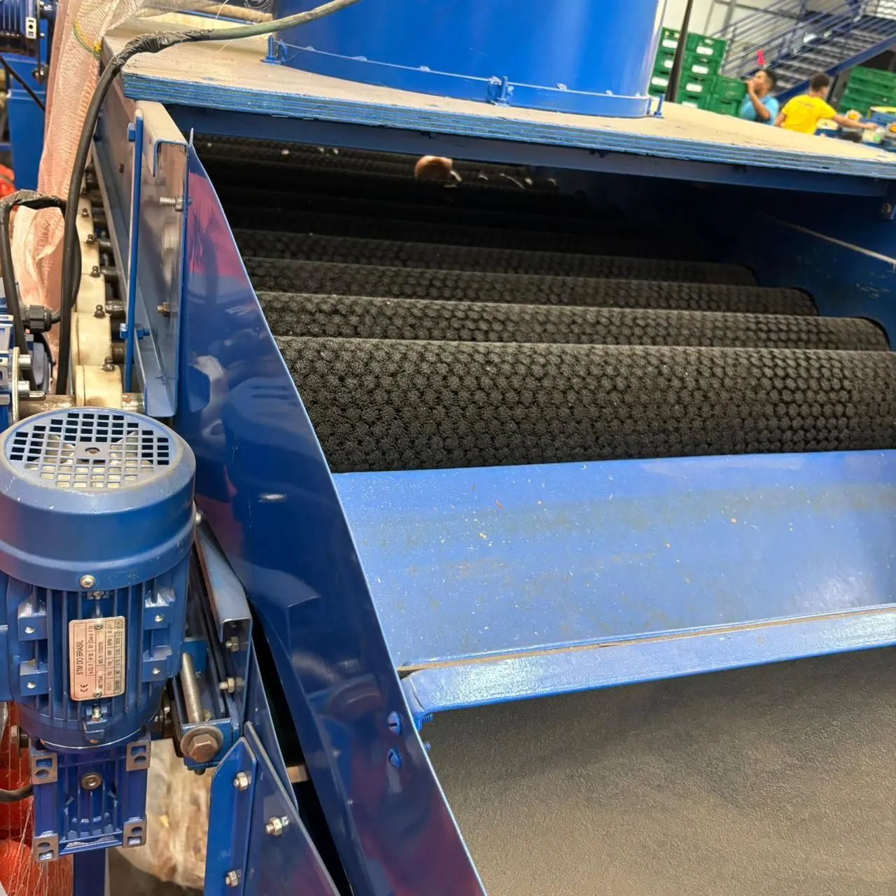 Máquina Classificadora/Selecionadora de Cebola - Foto 3