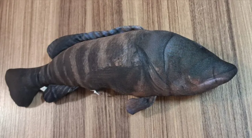 Garoupa de pelúcia 40cm Almofada Presente Brinquedo