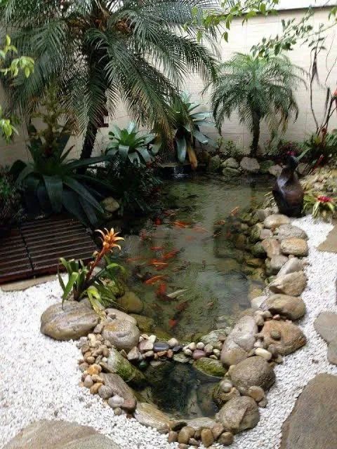 Lagos ornamentais e piscinas (leia o anuncio) - Foto 5