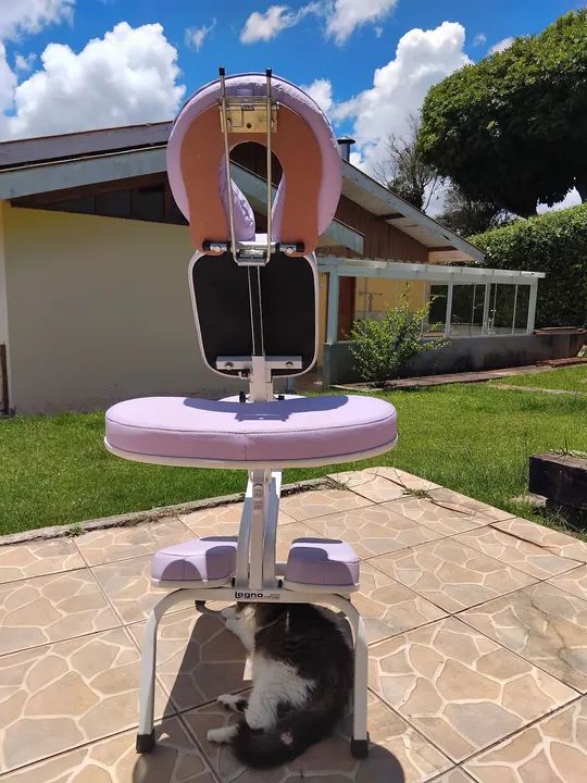 Cadeira de Massagem para Profissionais - Foto 5