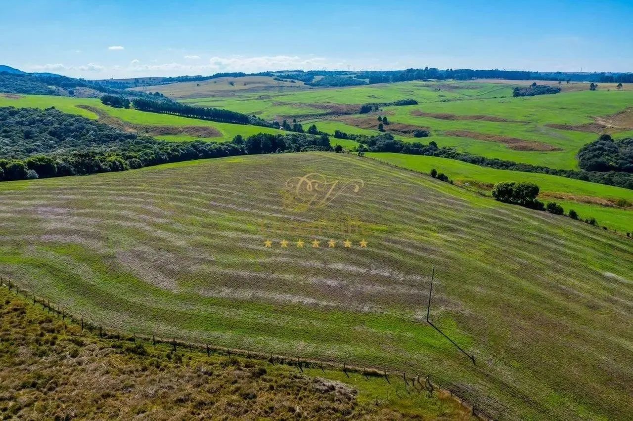 Palmeira, Fazenda à 46km Park Barigui, 100 alqueires, 242 hectares, ou 2.420.000m², dupla  - Foto 4