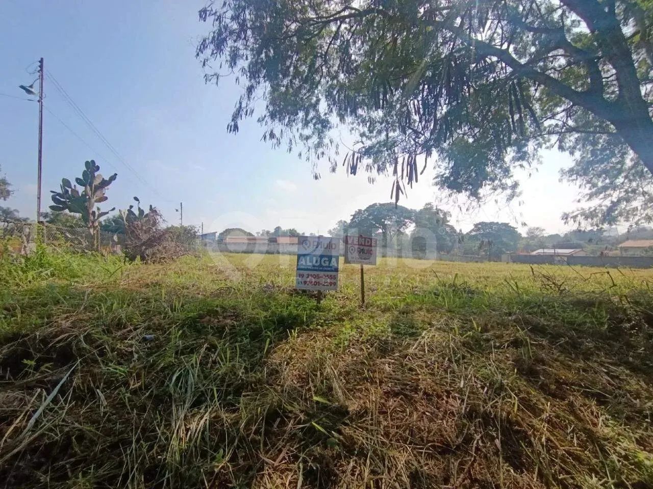 Área para Vender - Bairro Ondas - Foto 4