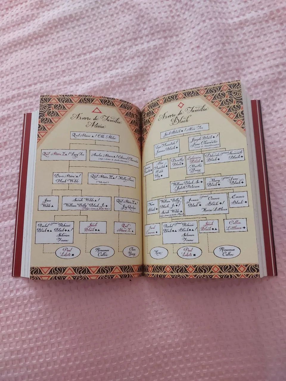 Guia oficial ilustrado da saga crepúsculo  - Foto 4