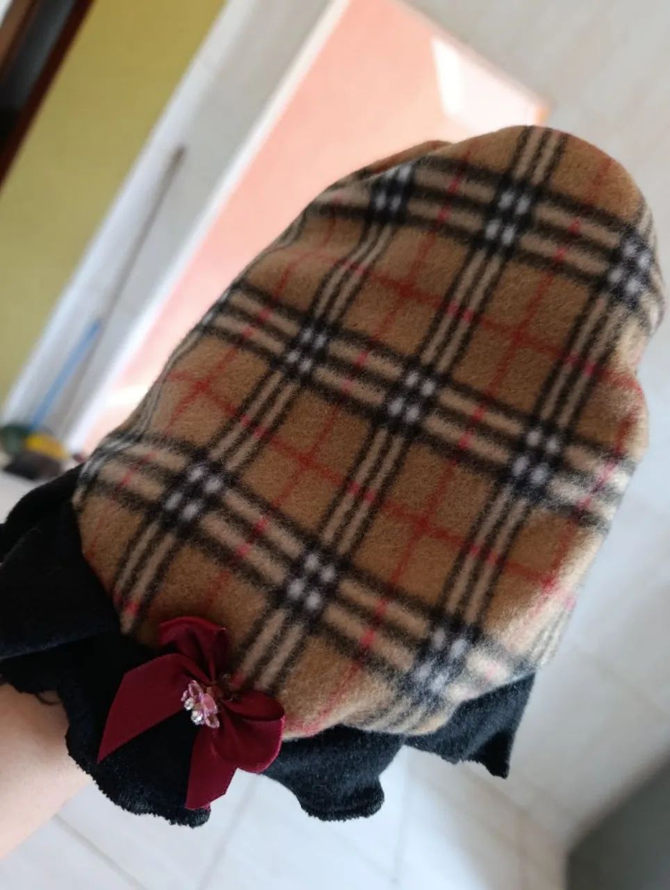 Porquinha da índia  - Foto 4