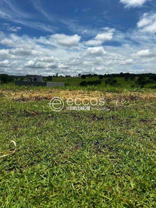 Terreno em condomínio à venda, Granja Marileusa - Uberlândia/MG - Foto 2