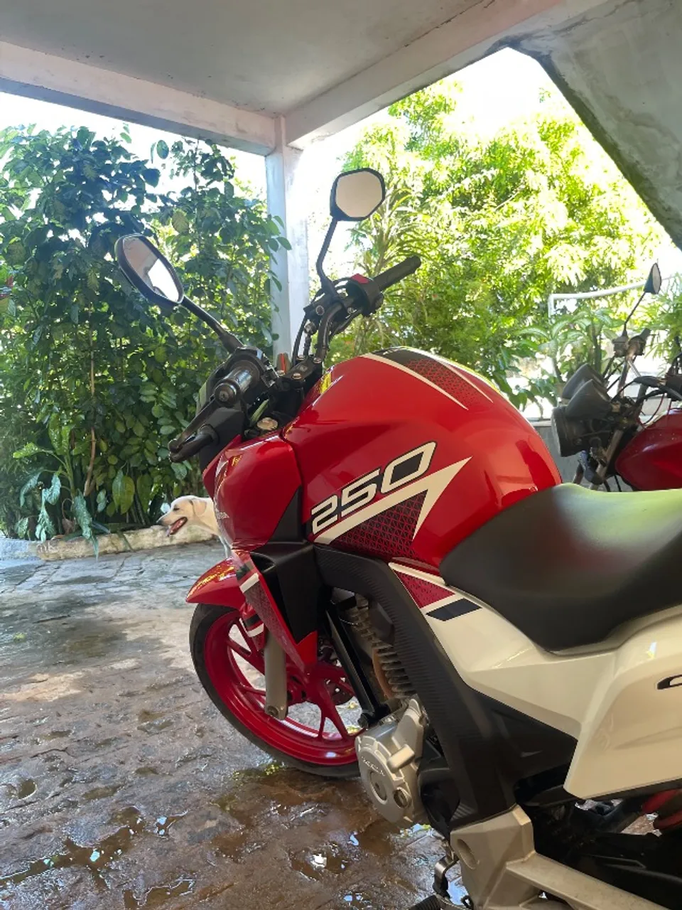 HONDA CB TWISTER 250CC 2022/23