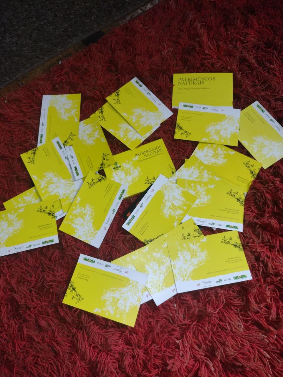 Cartões postais de Patrimônios Naturais do Brasil - Foto 5