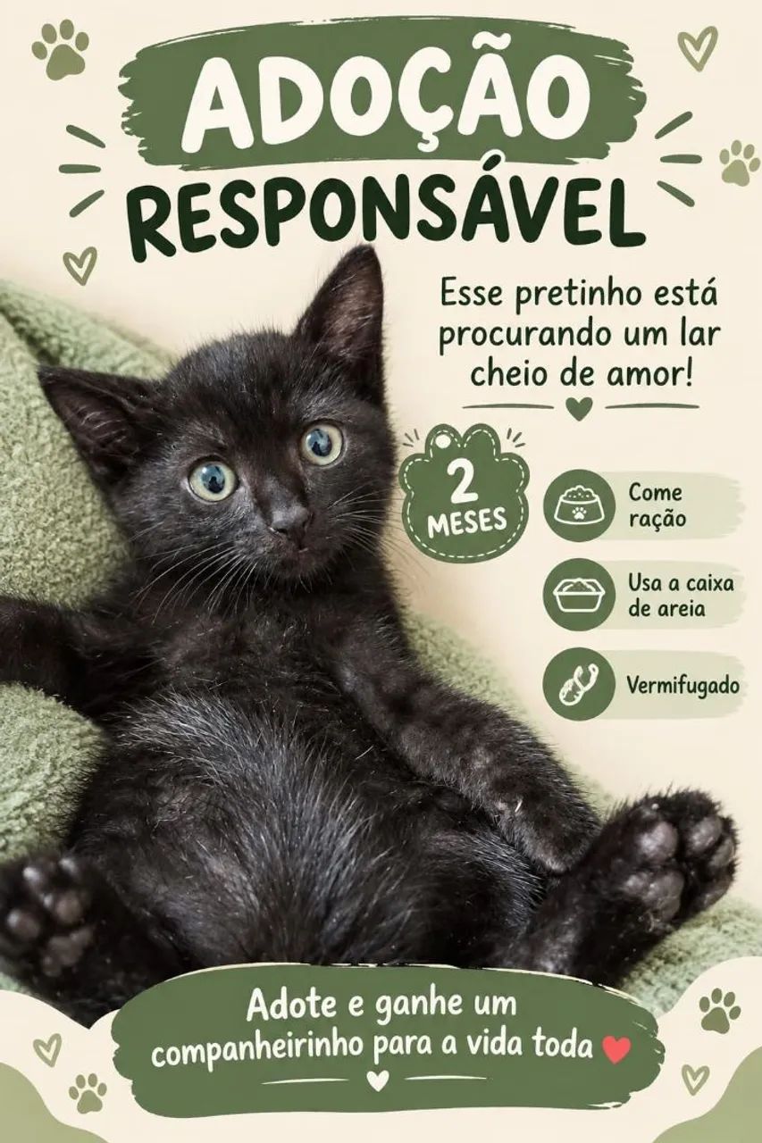 Gato para adoção