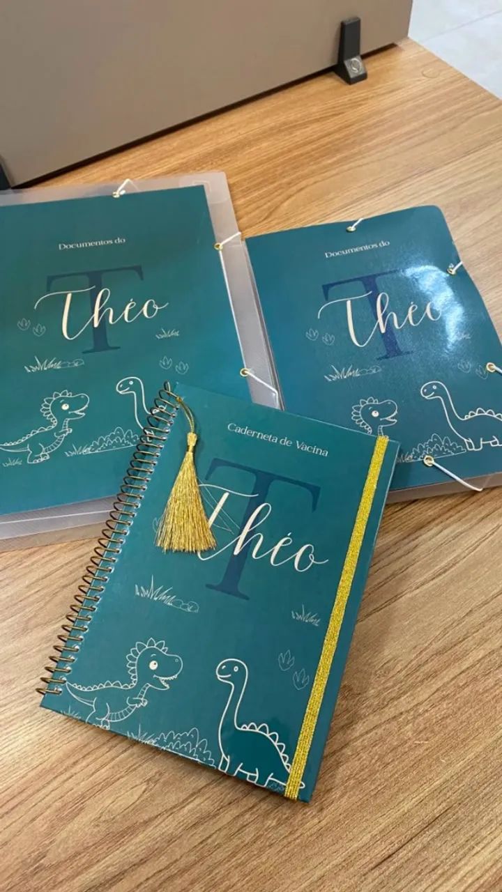 Kit Caderneta de Saúde Personalizada - Foto 2