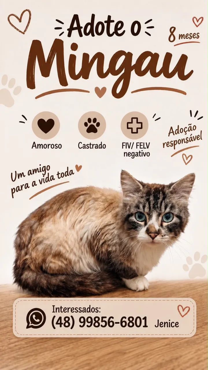 Gato macho castrado