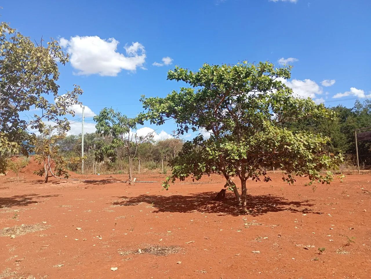 Chácara -Rancho Dona Nenem - Foto 2