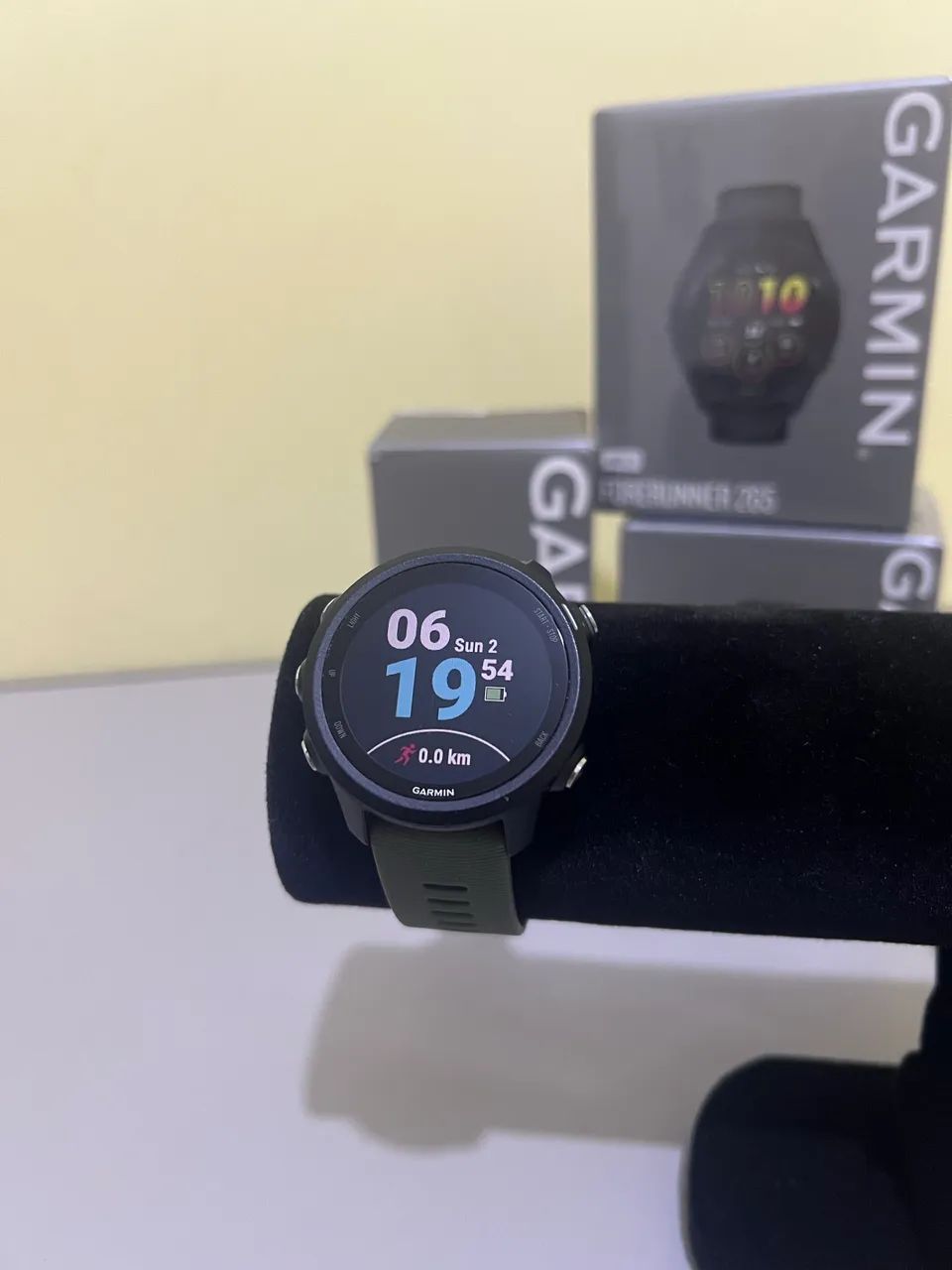 Garmin 245 