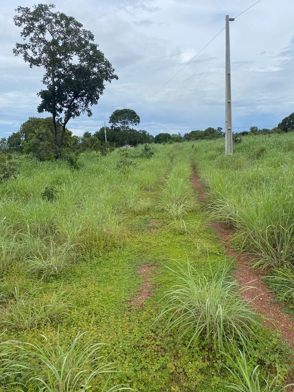Chácara em colinas do Sul Goiás - Foto 3