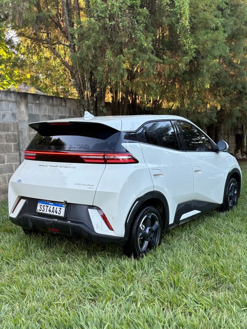BYD Dolphin Mini (Elétrico) 2025 - Foto 5