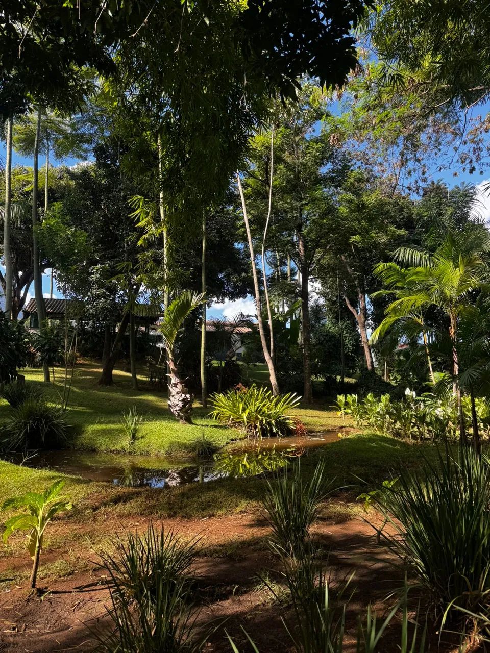 Chácara à venda - Vila Brasília - Foto 5