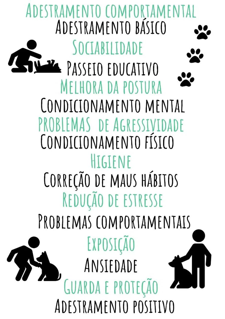 Adestramento  - Foto 2