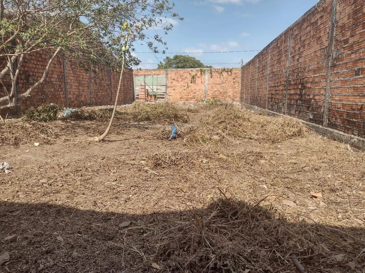 Terreno no Aquiles Lisboa( Vila Embratel) - Foto 3