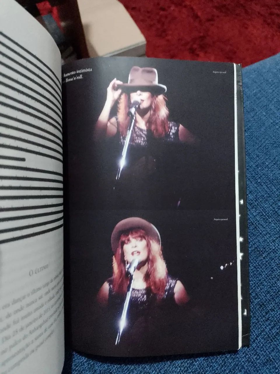 Rita Lee - Uma Autobiografia - Foto 5
