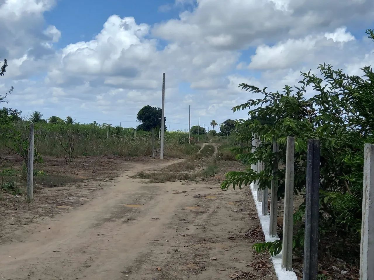 Vendo Terreno plano, maravilhoso, pronto para construir sua casa de campo - Foto 2