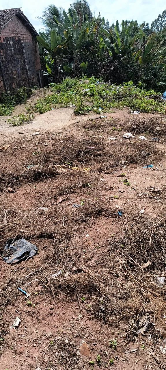 Terreno  - Foto 4