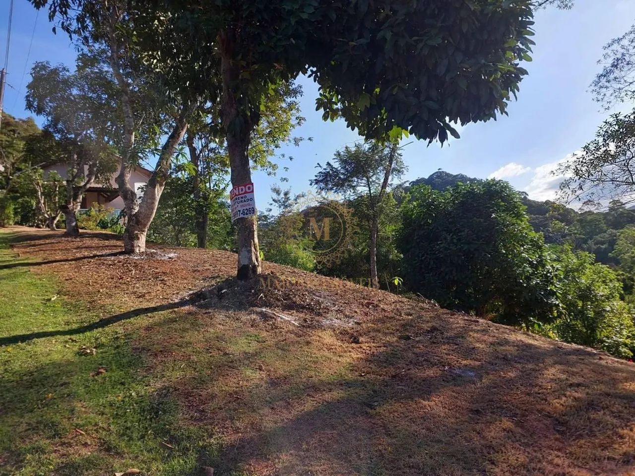 Lote/Terreno, Sede - Marechal Floriano - Foto 2