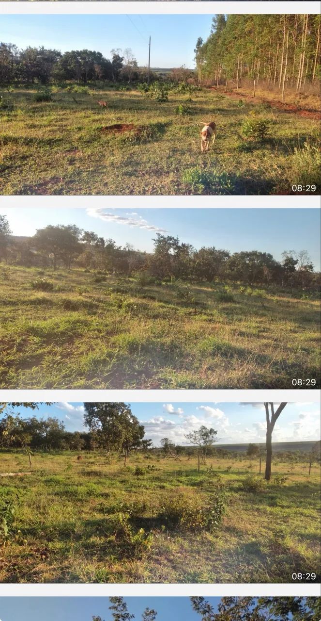 Mine sítio em Uberlândia 600.000,00