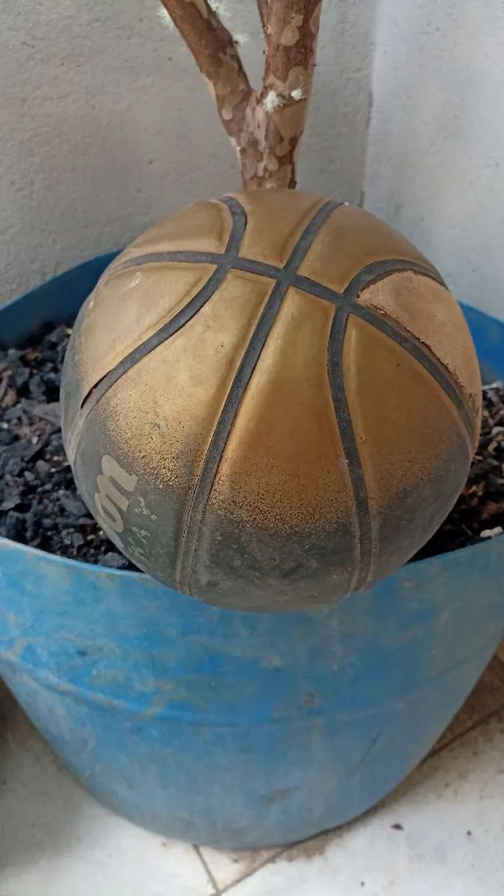 Bola de basquete wilson - Foto 2