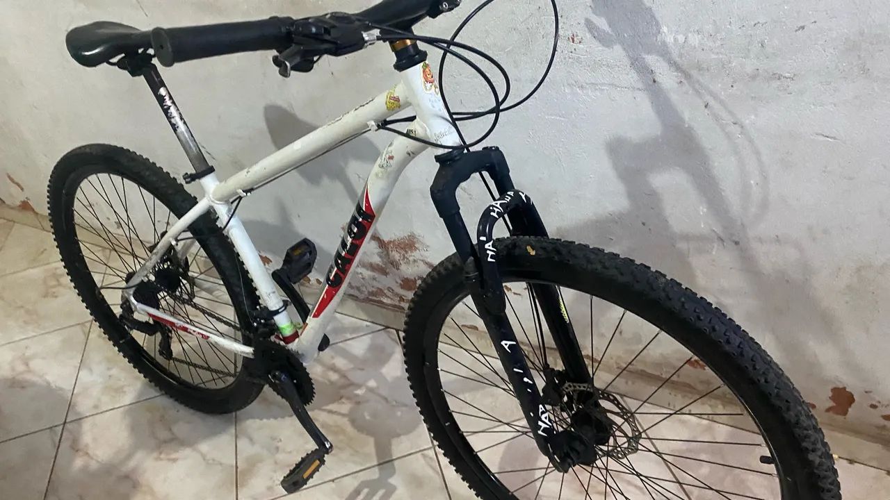 bike aro 29 
