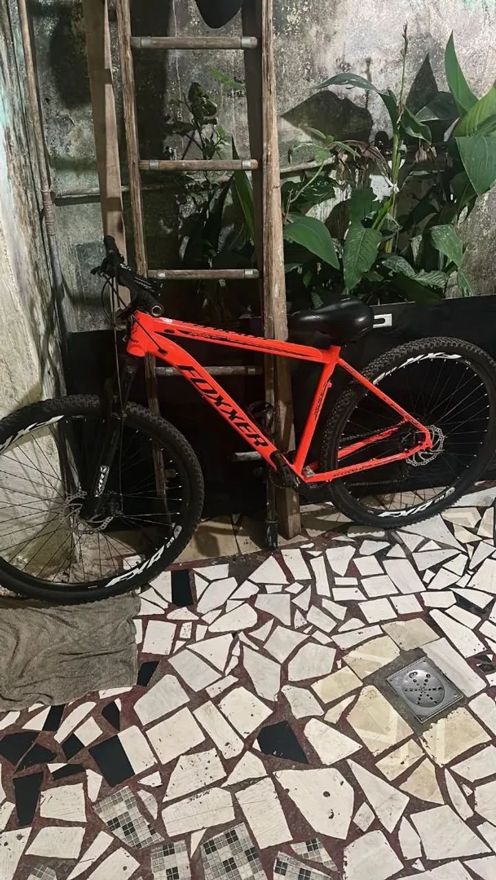 Bicicleta aro 29 disponível ?