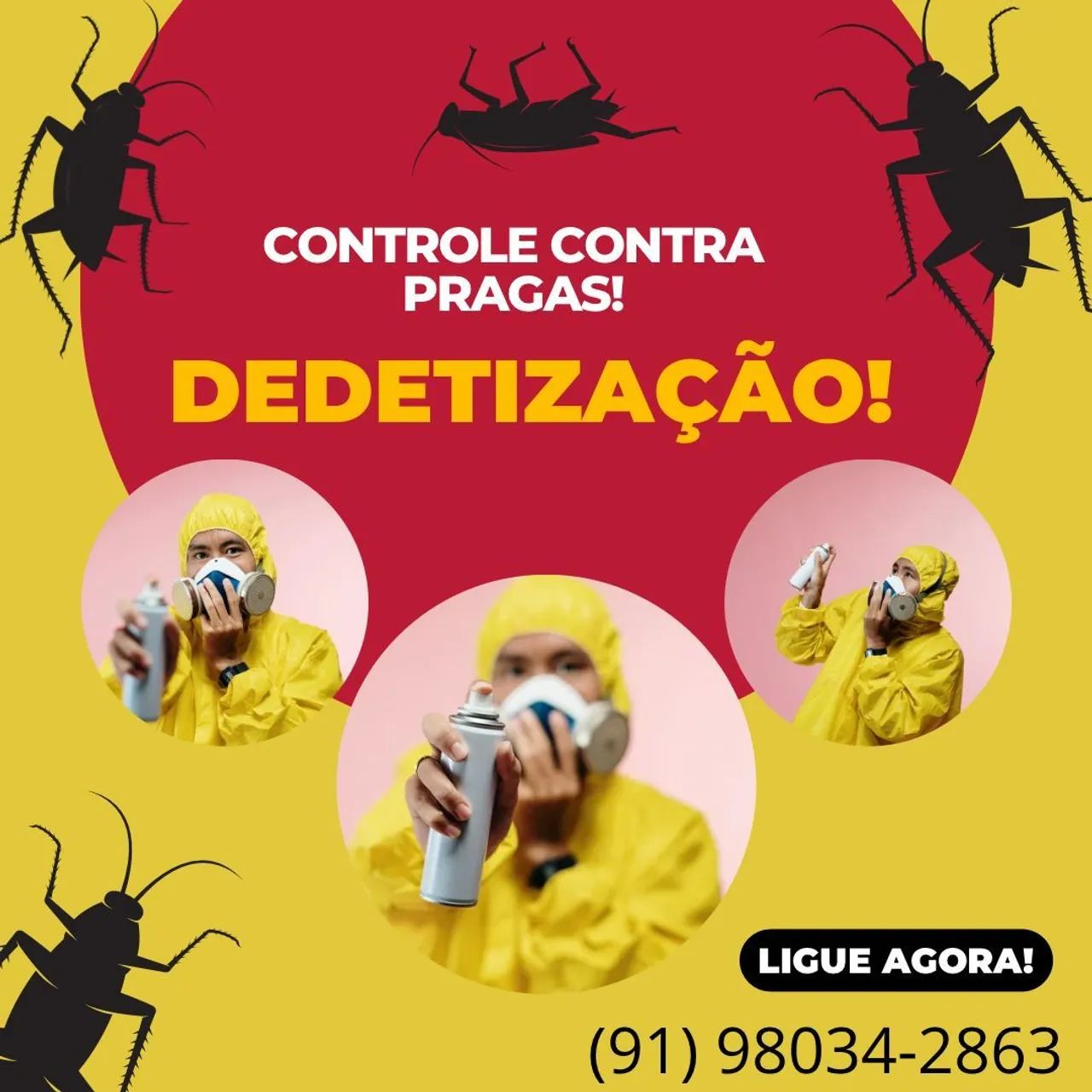 DEDETIZAÇÃO KL DEDETIZAÇÃO  - Foto 5