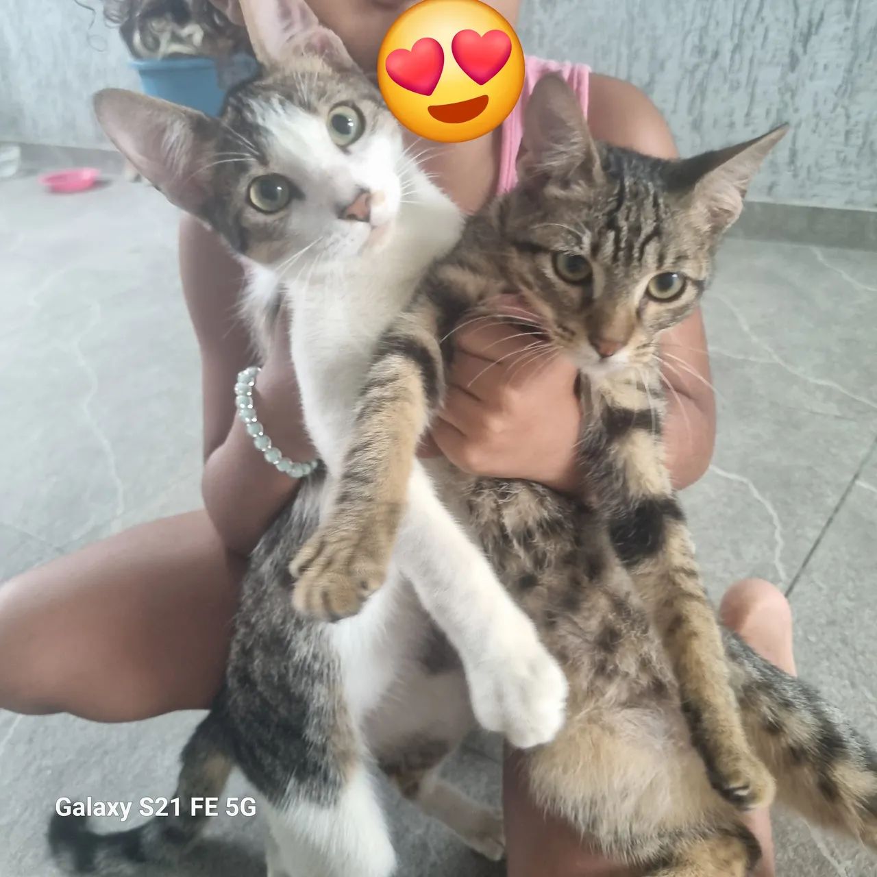 ? Adoção responsável ?