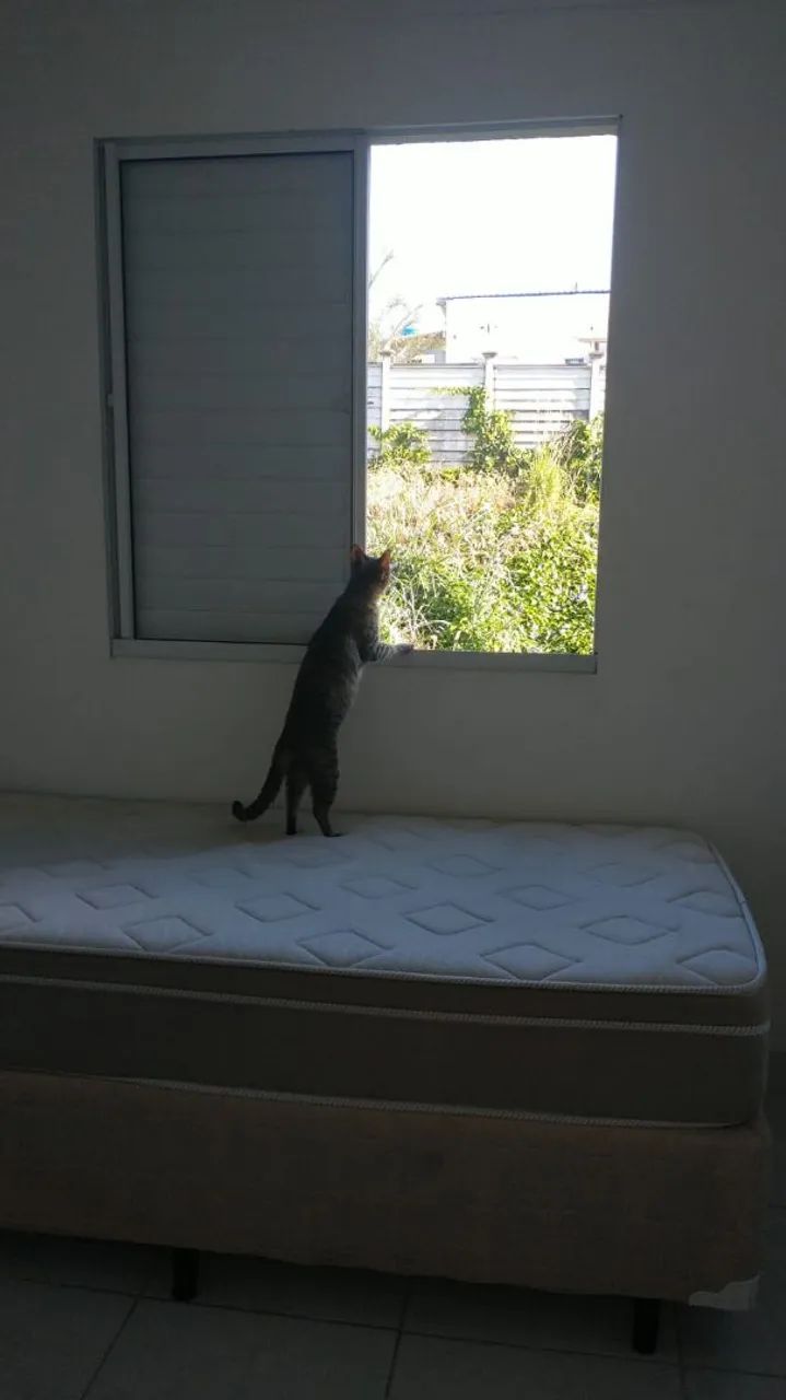 Cama box e colchão de solteiro semi nova  - Foto 3